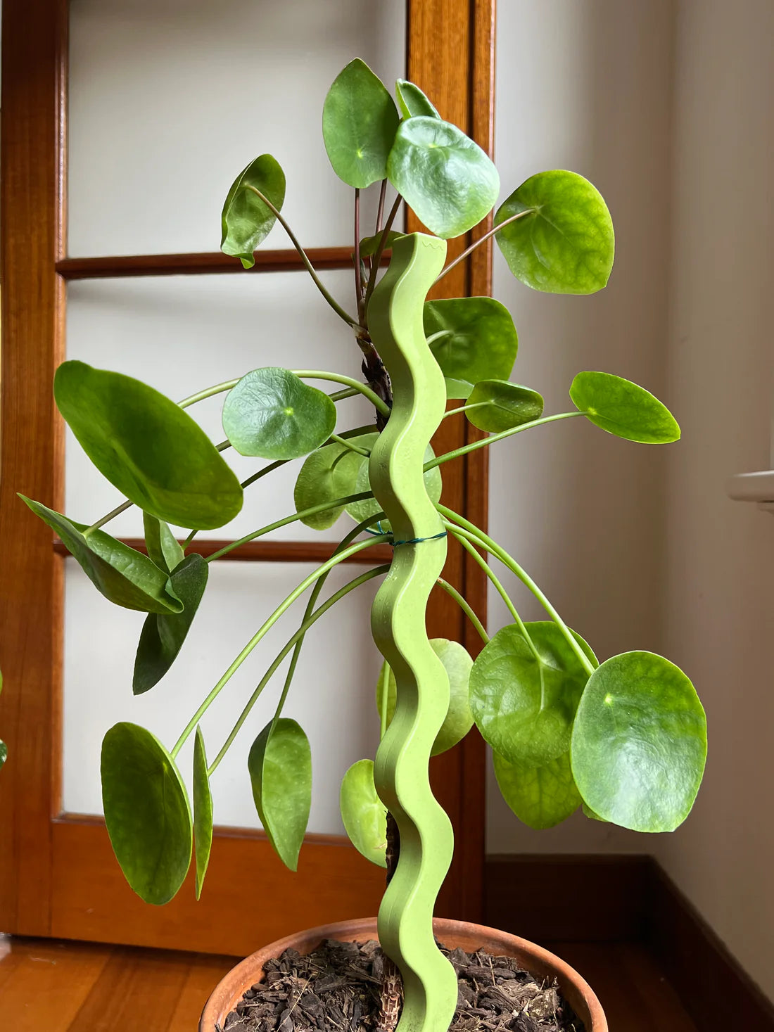 JADE Totems by Secateur Me Baby